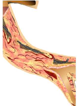 Fig03c