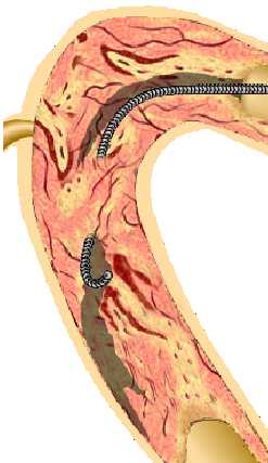 Fig10b