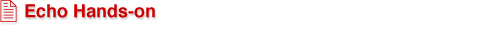 Echo Hands-on