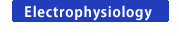 Electrophysiology