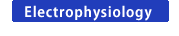 Electrophysiology